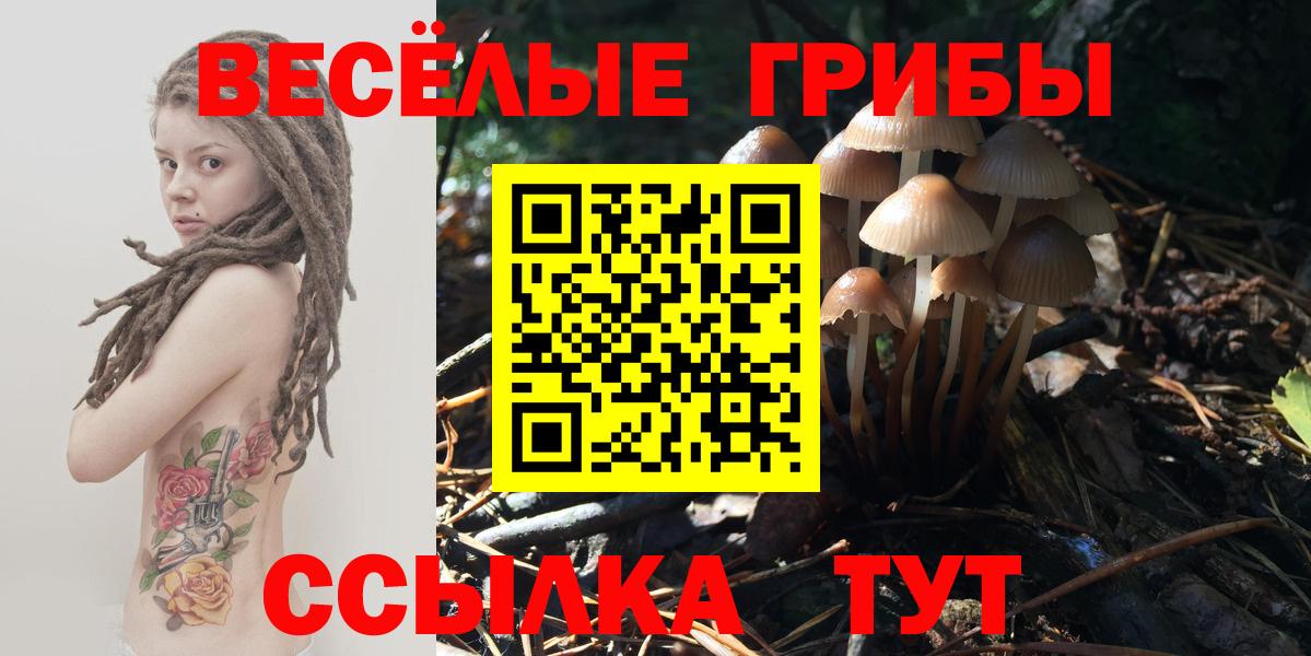 Псилоцибиновые грибы ЛСД Нарткала