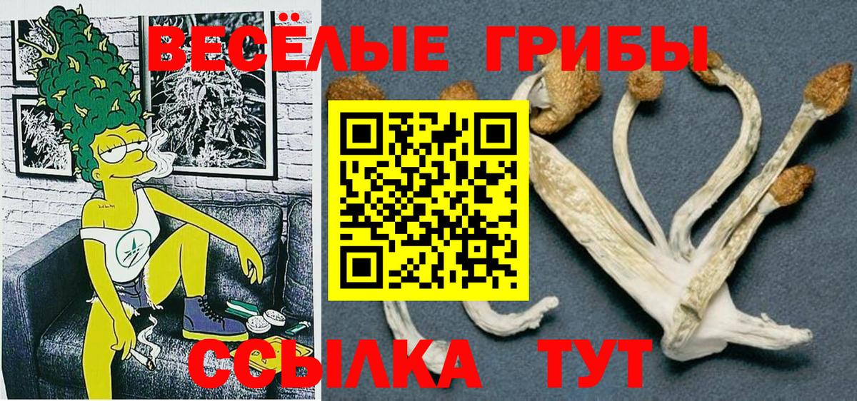 Нарткала  Галлюциногенные грибы GOLDEN TEACHER  купить наркоту  Вход с VPN 